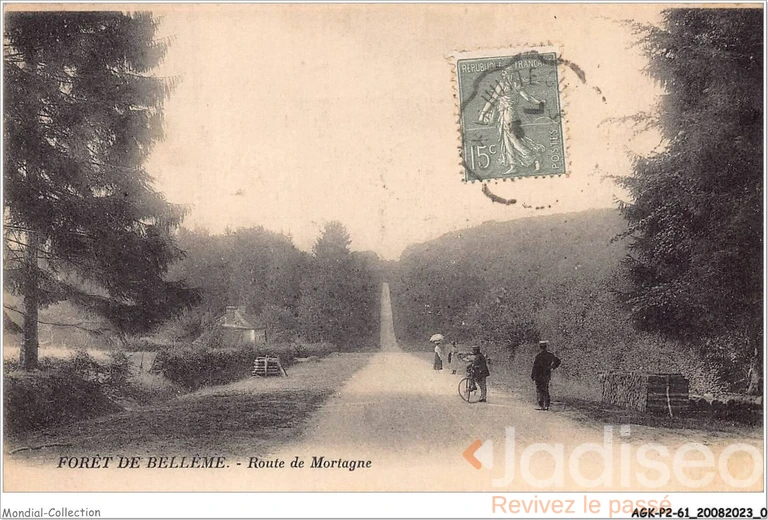 Photo ancienne à localiser : La Route de Mortagne Dans la Forêt